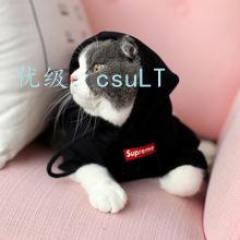 ȼ
