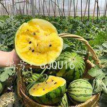 Ļ