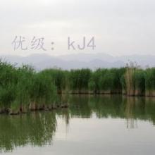 Ŭ