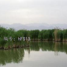 Ŭ