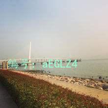 ȼ