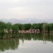 Բ